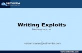 Writing exploits