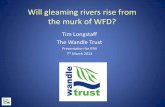 Will gleaming rivers rise from the murk of WFD?