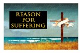 Reason For Suffering