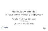 Tech Trends: What's new, What's important in 2013