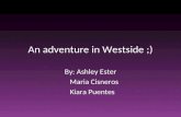 An adventure in westside