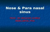 Nose And Paranasal Sinusefinal