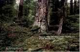 Spring bulletin 1999 ~ save the redwoods league