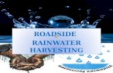 road side rain water harvesting