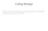 living things & cell theory