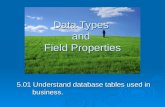 Data  Types And  Field  Properties