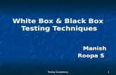 Black box & white-box testing technique