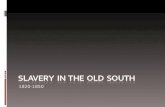 CH_11_slavery in the old south
