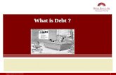 BASIC KNOWLEDGE ABOUT DEBT