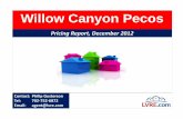 Willow Canyon Las Vegas Home Values