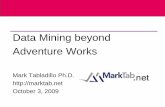 Data Mining Beyond Adventure Works (Redmond WA 10/3/2009)