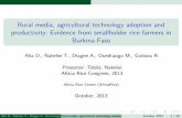 Th5_￼￼Rural media, agricultural technology adoption and productivity: Evidence from smallholder rice farmers in Burkina Faso