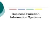 Types of business function information systems