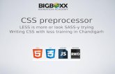 Css less training in chandigarh : Big Boxx Web Academy