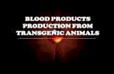 BLOOD PRODUCTS PRODUCTION FROM TRANSGENIC ANIMALS