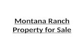 Montana Ranch Property for Sale