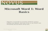Word Lesson 1: Word Basics