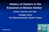 History of Oysters in Boston Harbor