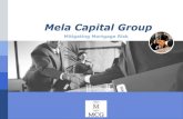 Mela Capital Banking Ppt