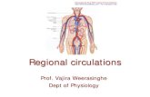 Regional circulations