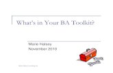 What’s In Your BA Toolkit? Nov 2010