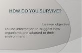 How Do You Survive