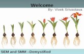 Sem and smm –demystified  vivek