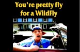 You're a pretty fly for a WildFly