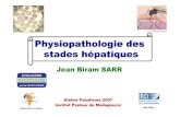 Physiopathologie des stades hépatiques