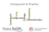 Compassion in practice Seminar