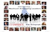 Greater Nashua Leadership Class
