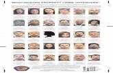 Most Wanted Property Crime Offenders June 2010