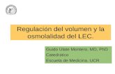 Regulaci ó n del volumen y la osmolalidad del LEC. Guido Ulate Montero, MD, PhD Catedr á tico Escuela de Medicina. UCR.