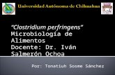 Clostridium perfringens Microbiología de Alimentos Docente: Dr. Iván Salmerón Ochoa Por: Tonatiuh Sosme Sánchez.