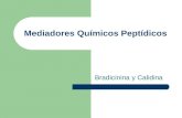 Mediadores Químicos Peptídicos Bradicinina y Calidina.