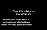 Candida albicans Candidiasis Ricardo Eliud Valtier Martínez Melissa Sarahi Vidales Reyes Fabián Armando Zacarías Ramón.