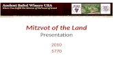 Mitzvot Of The Land - Presentation