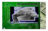 5g Komodo Dragon