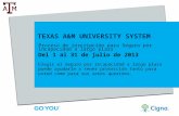 TEXAS A&M UNIVERSITY SYSTEM Proceso de inscripción para Seguro por incapacidad a largo plazo Del 1 al 31 de julio de 2013 Elegir el Seguro por incapacidad.