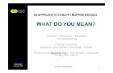 An Approach to Concept Mapping Big Data