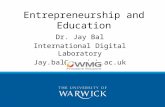 Innovation and entrepreneurship   wmg, warwick