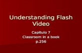 Understanding flash video