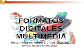 Formatos digitales 2013 (audio, txto, vídeo e imagen)