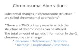 Change in chromosome structure