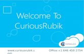 CIO Cloud ERP Presentation - NetSuite CuriousRubik