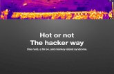 44CON 2014 - Hot or not, the hacker way, Dan Tentler