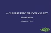 Silicon valley mizio technology scouting  alumni mip february 2011