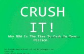 Crush It, why now is the time to cash in on your passion by Gary Vaynerchuk
