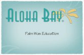 Aloha Bay Palm Wax Education