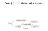 11X1 T08 04 quadrilateral family (2011)